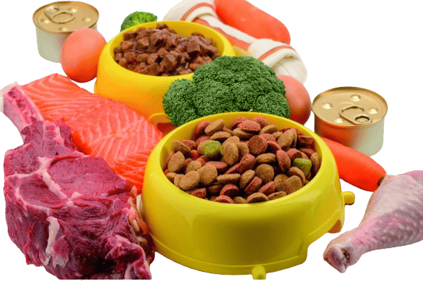 Pet Food