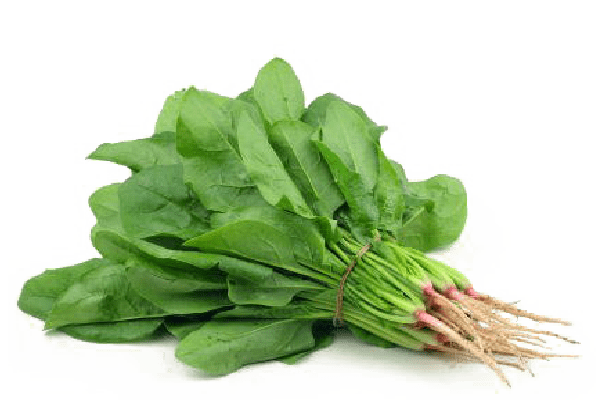 Spinach (پالک) 1Bndl