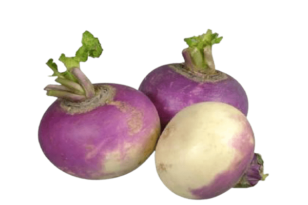 Turnip (شلجم) 500g