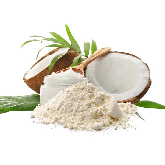 Coconut Powder 100g