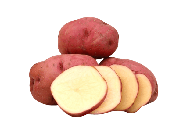 Potato Red (سرخ آلو)