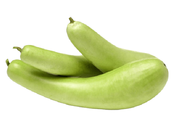 Bottle Gourd (Loki) 1kg