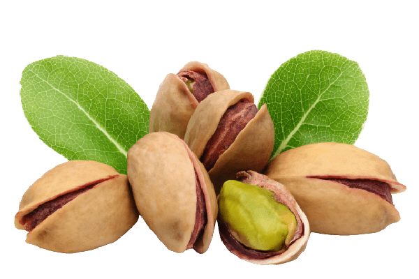 Pistachio 100g