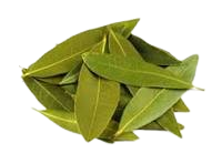 Bay Leaves (Tej Patta)