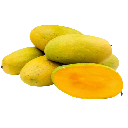 Mango (Dasehri)