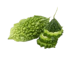 Sliced Bittergourd 500g