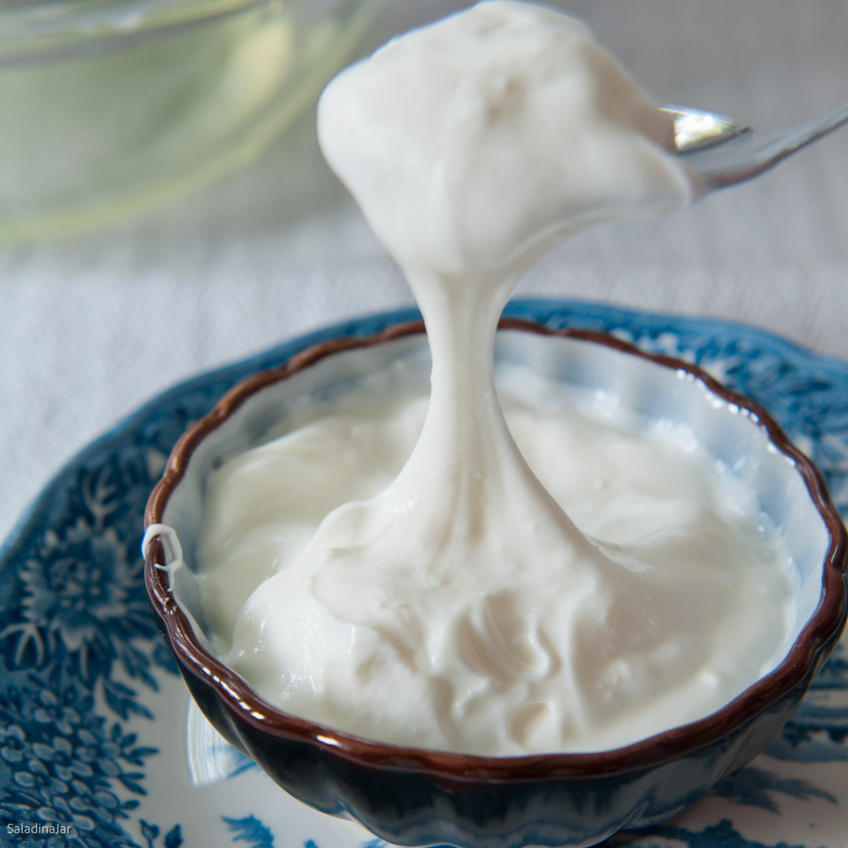 Homemade Yogurt Islamabad: Why It Fails and How to Fix