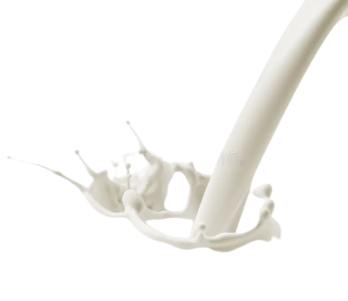 Fresh Milk - Buffalo 1L (دودھ)