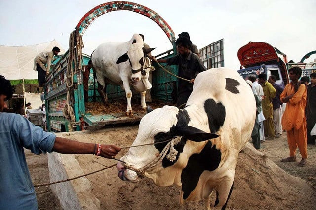 Why Qurbani Meat Delivery Got So Expensive This Year