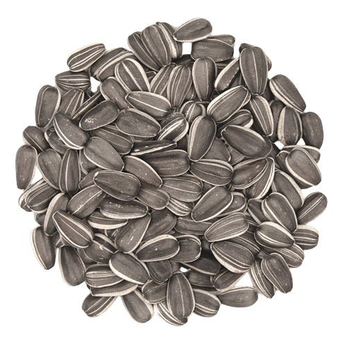 Sunflower Seeds 100g