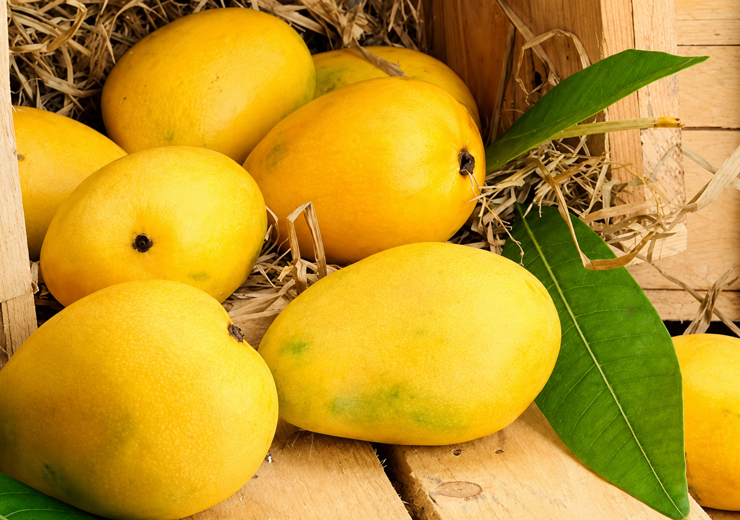 Mango Bulk Buying: June Strategy to Save 5,000 Rupees