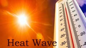 Heat Wave Fatigue Energy: Your Food Survival Guide