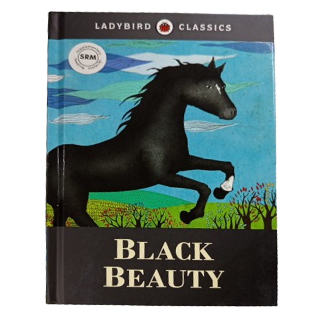 Black Beauty LadyBird class 6