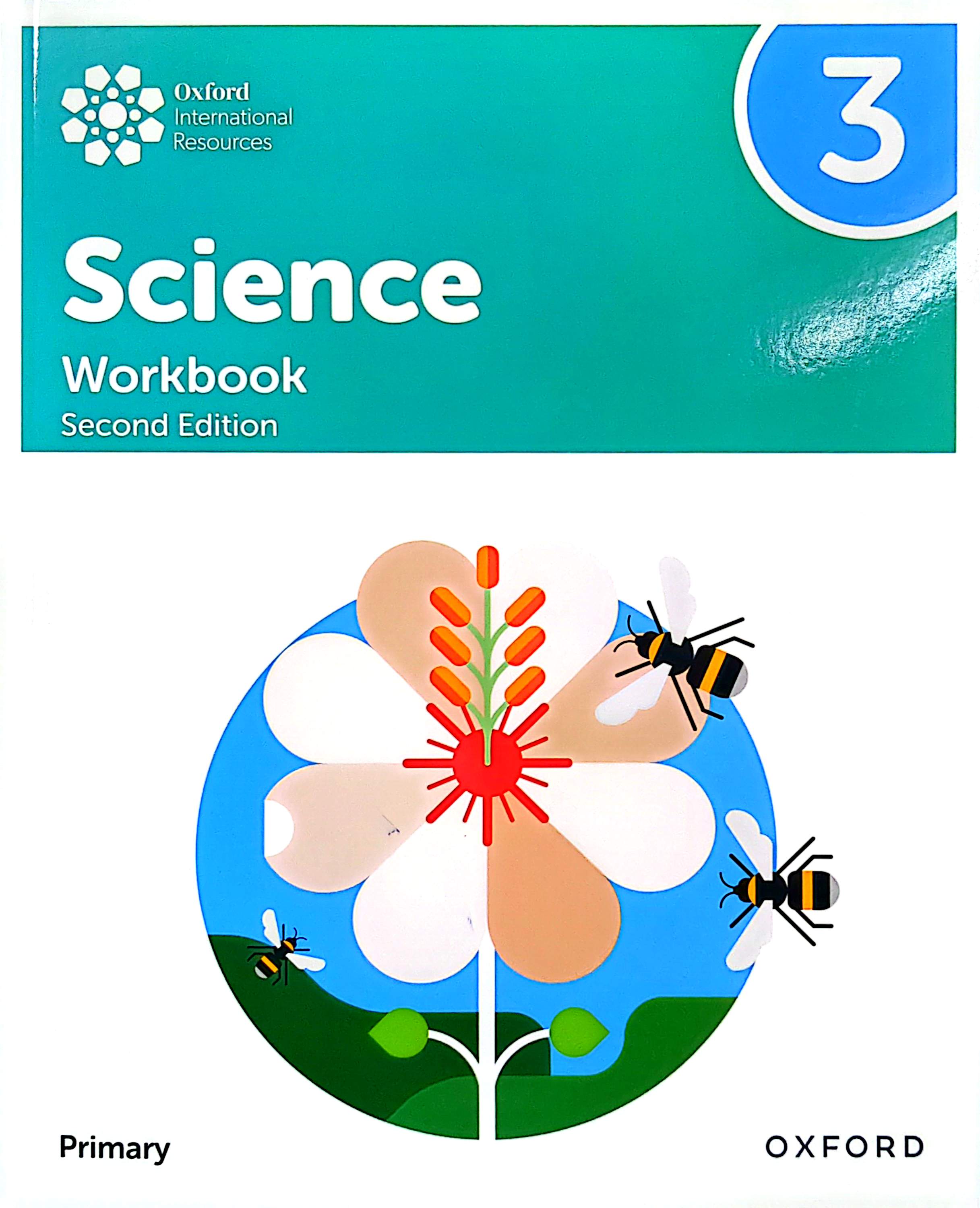 Workbook 3