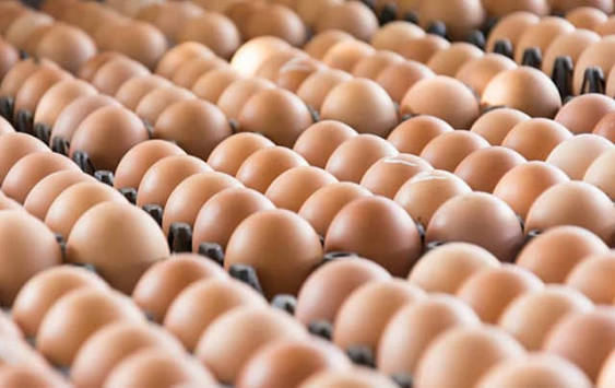 How to Store Eggs Summer Heat in Islamabad Safely