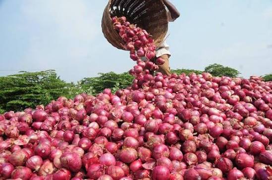 Onion Shortage Pakistan October—Shop Before Prices Spike