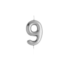 Metallic Silver Number 9