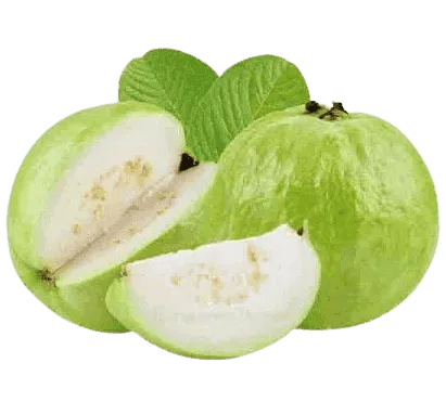 Premium Green Guava 500G