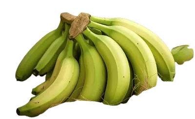 Premium Banana