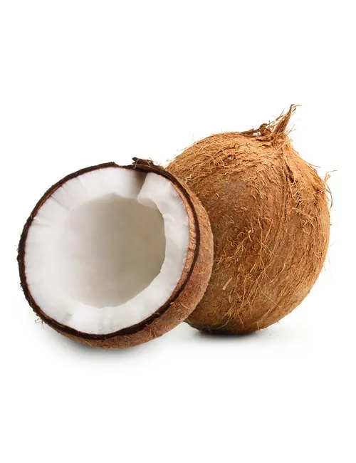 Coconut 1pc