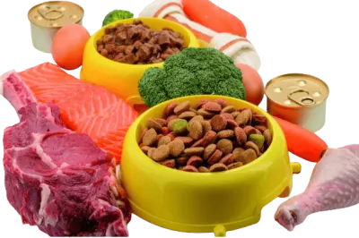 Pet Food
