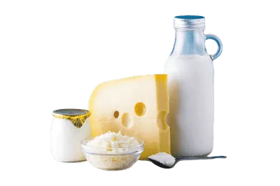 Fresh Dairy