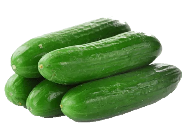 Cucumber (کھیرا) 500g