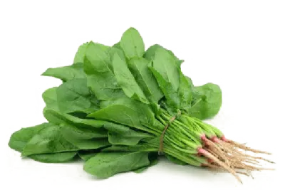 Spinach (پالک) 1Bndl