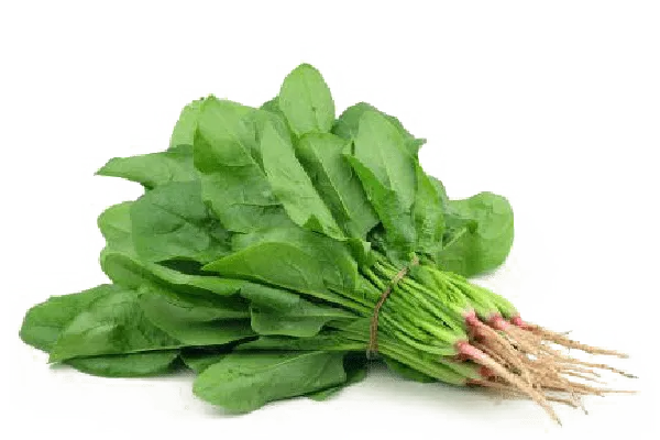 Spinach (پالک) 1Bndl