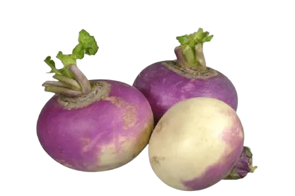 Turnip (شلجم) 500g