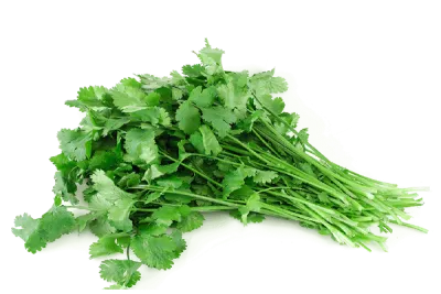 Coriander (دھنیا) 1Bndl