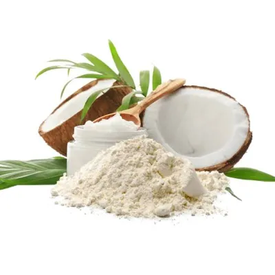 Coconut Powder 100g