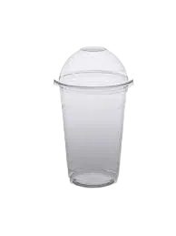16 Oz Disposable Glass Pack Of 10