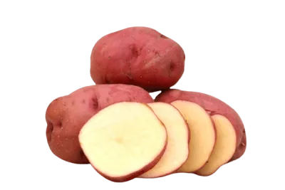 Potato Red (سرخ آلو)