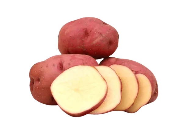 Potato Red (سرخ آلو)