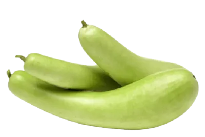 Bottle Gourd (Loki) 1kg