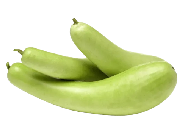 Bottle Gourd (Loki) 1kg
