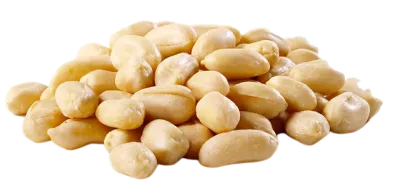 Peanuts Roasted 100g