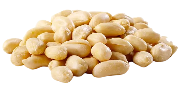 Peanuts Roasted 100g