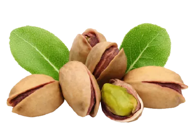 Pistachio 100g