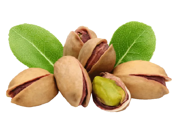 Pistachio 100g