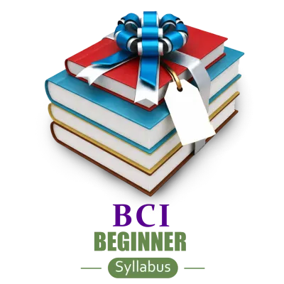 Beginner BCI