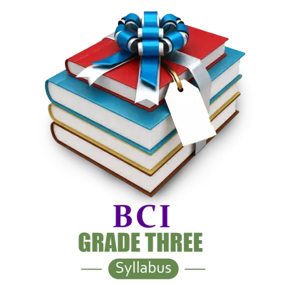 Grade 3 BCI