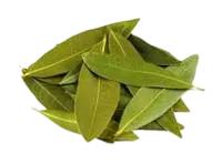 Leaves (Tej Patta)
