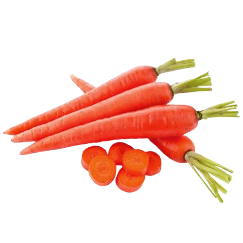 Sliced Red Carrots Round Cut 250g