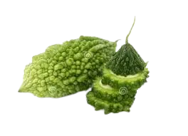 Sliced Bittergourd 500g