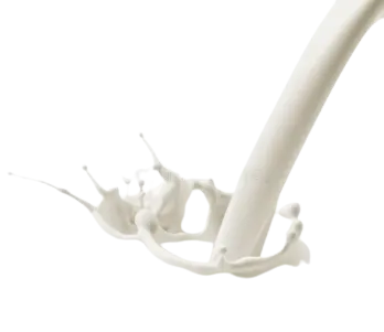 Fresh Milk - Buffalo 1L (دودھ)