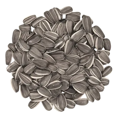 Sunflower Seeds 100g