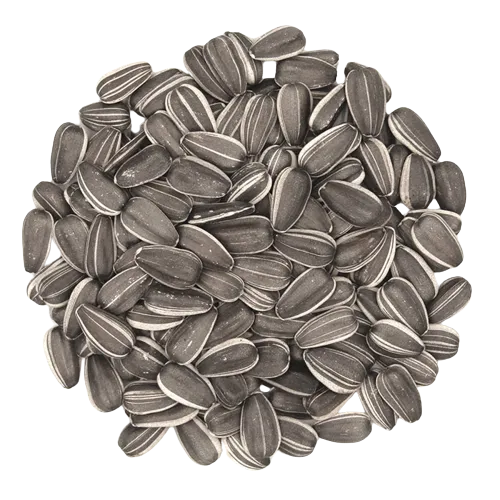 Sunflower Seeds 100g