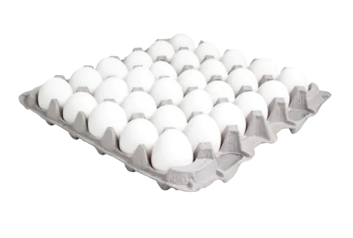 White Eggs Tray Large 30pcs